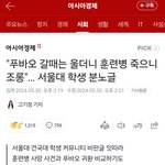 [댓글부탁해] 혹시 판녀들도 이런 부류인가 싶어서