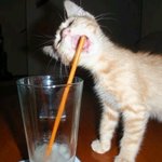 솔직히 익명이니까 하는 <b>말</b>인데..(어그로<b>x</b>)