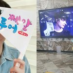 2018년부터 <b>동물</b> 탈 쓰고 팬들이 걸어준 생일광고 보러다닌 아이돌