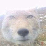 [댓글부탁해] 눈썹 <b>두께</b> 뭐가 어울리는지 어케앎?