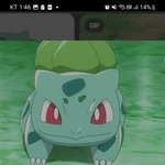 나 <b>파이리</b>랑 이상해씨 닮았다는데