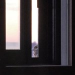 [드루와] 학교 기숙사 <b>창문</b>에서 새 봤음 ❤️