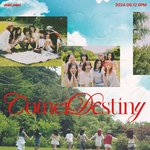 [댓글부탁해] <b>위키</b>미키 오늘 마지막 앨범 나옴