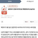 작년에 임시조치 당한 <b>백현팬</b>이 쓴 글 다시 봤는데