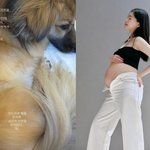 9개월' 이다은, 몸무게 76kg.."이게 맞는건가?"[<b>SHOT</b>...