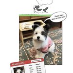 [드루와] 너네 수학 <b>기출</b> 몇년도까지 봄?