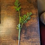 <b>농사</b>가 힘든 이유랄까