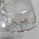 [어케생각해] 생수 정체모를 <b>물질</b>