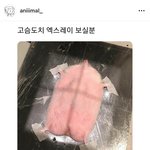 에스파 카리나가 좋아요 누른 <b>인스타글</b>