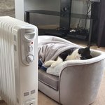 <b>구순염</b> 잘 아는 사람 있니