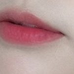 [댓글부탁해] <b>웜톤</b> 쿨톤 립추천!