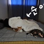 [스키즈] 따<b>수워</b>