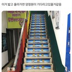 [엔하이픈] 엔하이픈 양정원 성격 한 장 <b>요약</b>