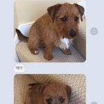 아니 나 전짝남 전<b>썸남</b> 전남친 <b>현썸남</b>