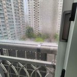 [이것좀봐줘] 아파트 베란다에서 <b>식물</b>키우시는분 봐주세요