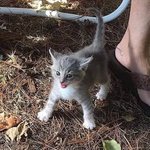 [방탄소년단] <b>미야</b>