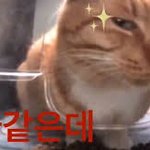 나만 인스타 <b>계정</b> 맨날 ㅈㄴ바꾸냐