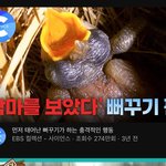 나 눈동자 진짜 ㅈㄴ <b>작음</b>