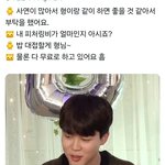 [방탄소년단] 7곡중에 혹시..?