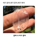[모두드루와] 애기 <b>광어</b> 애기 문어 애기 복어