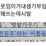 난 우울할때 퀸<b>동주</b>를 봐 ㅎㅎ