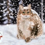 [어케생각해] <b>취미</b>로 그린 고양이 그림