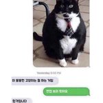 [댓글부탁해] <b>미남</b>을 얻고싶으면 자신감을 가져라