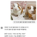 대학 학과 <b>비하</b> 절대 아닌데 궁금한 거 있음