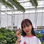 짹에서 욕 먹는 사람 인스타 봣는데