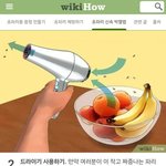 [모두드루와] 초파리 신속 <b>박멸</b>법