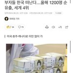 부자들 이민 <b>러쉬</b>