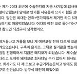 코수술 구축 잘 아는사람?이거<b>뭔</b><b>말</b>이지