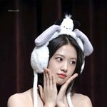 강아지상인데 묘하게 다르다니까