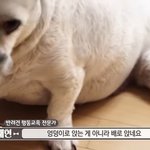 트위터는 걍