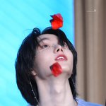 남돌 최애 <b>사랑</b> 팡파르 불면서 <b>시작</b>