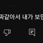 <b>웜톤</b> 쌩얼에 바를만한 틴트 추천 제발제발