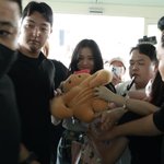 지수 <b>출국영상</b>에 등장한 근육키티 ㅈㄴ 웃겨ㅋㅋㅋㅋ