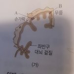 셤공하는데 개<b>무서움</b>;;;;