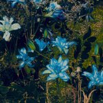 [군대] 근데 스메<b>랄</b>도 되게 바꼈다