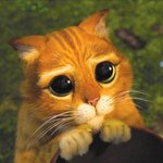 근데 <b>달씨</b> 일 아이러니한듯