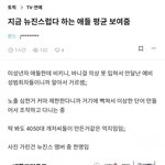 뉴진스를 지키는 버니즈