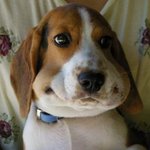 남돌들 연차 좀만 <b>차면</b> 머리 길러대는 거 개같네 진심