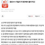 저렇게 애 키우면 한남으로 키우는거임