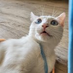 사랑<b>둥이</b> 바다 눈에 퐁당~ 빠져 보아용!! (3)