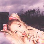 각 소속사 대표들의 소나무 취향