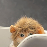 베리레드톡)The Rum Tum Tugger <b>is</b> a curious...