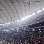 와 뉴진스 <b>도쿄</b>돔