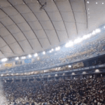 [모두드루와] 뉴진스 도쿄돔 실시간