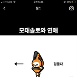 나만 이새끼싫냐?
