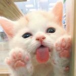 [어케생각해] 고발합니다!